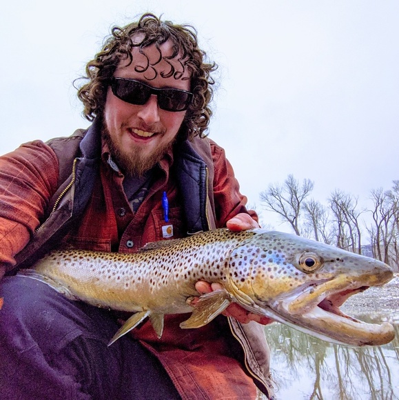 Meet your Posher, Abram - Picture 1 of 1